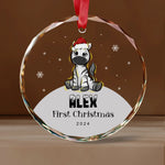 First Christmas Baby Animal Glass Ornaments -  Christmas Ornaments Personalize Print