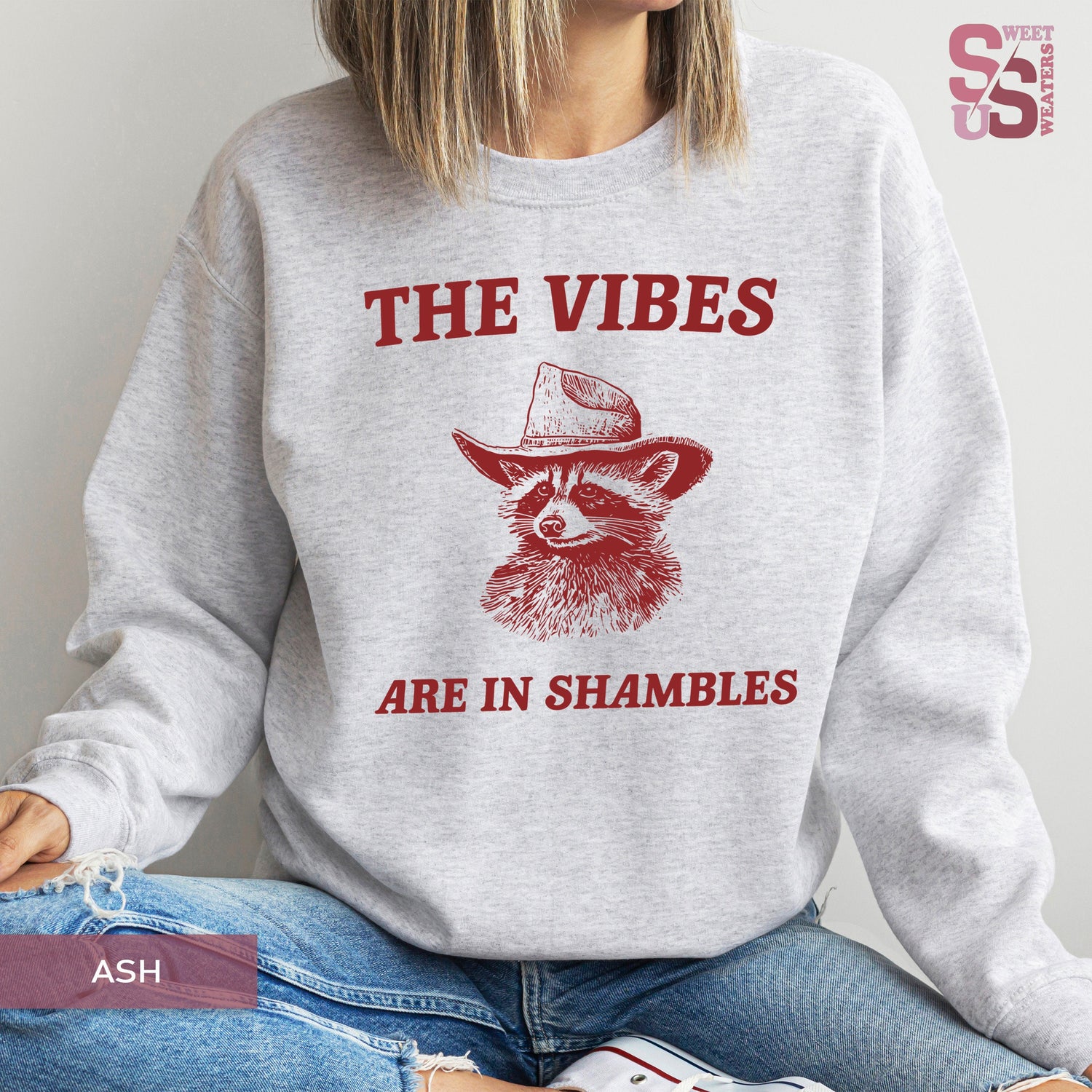 The Vibes are in Shambles Sweatshirt, Funny Memes Sweatshirt, Silly Sweatshirt